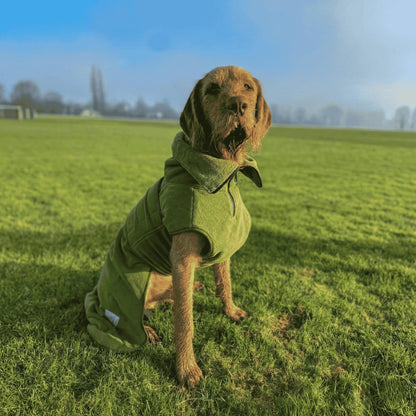 Superior Perfectly Practical Dog Drying Coat
